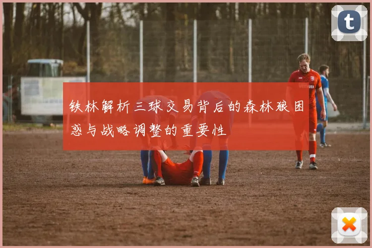 铁林解析三球交易背后的森林狼困惑与战略调整的重要性