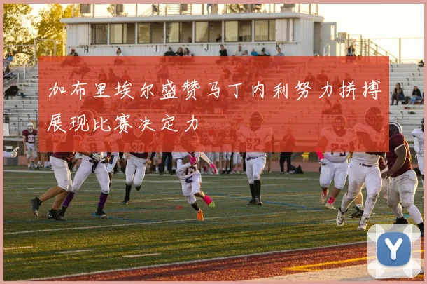 加布里埃尔盛赞马丁内利努力拼搏展现比赛决定力